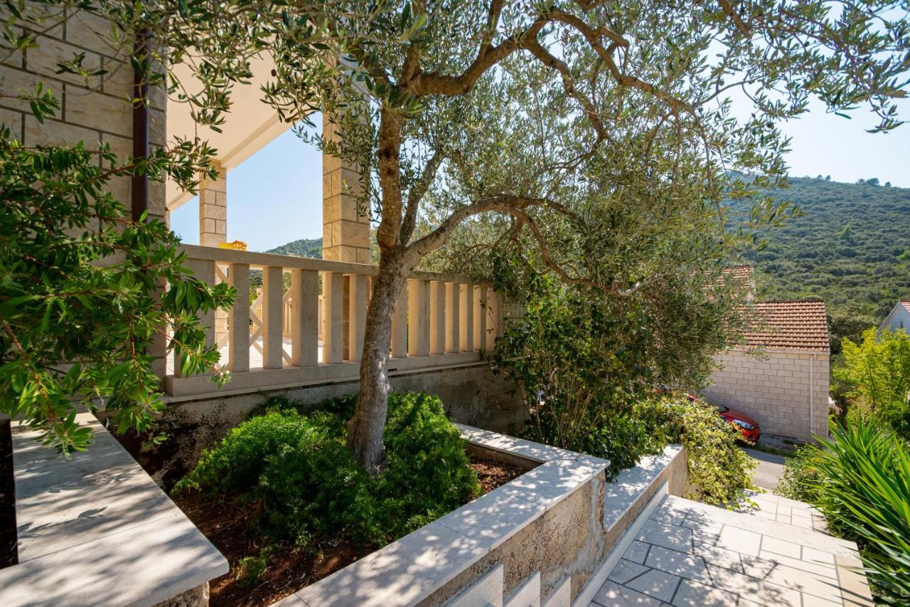 Villa Ana Zrnovo Exteriér fotografie