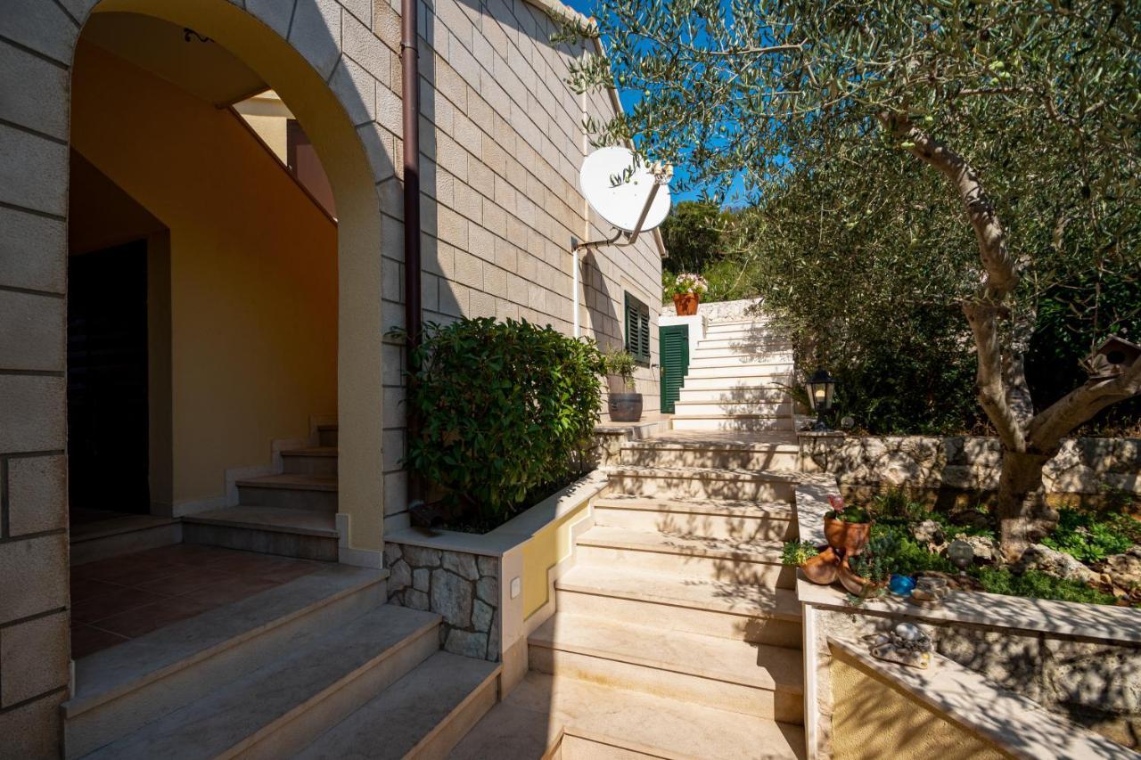 Villa Ana Zrnovo Exteriér fotografie