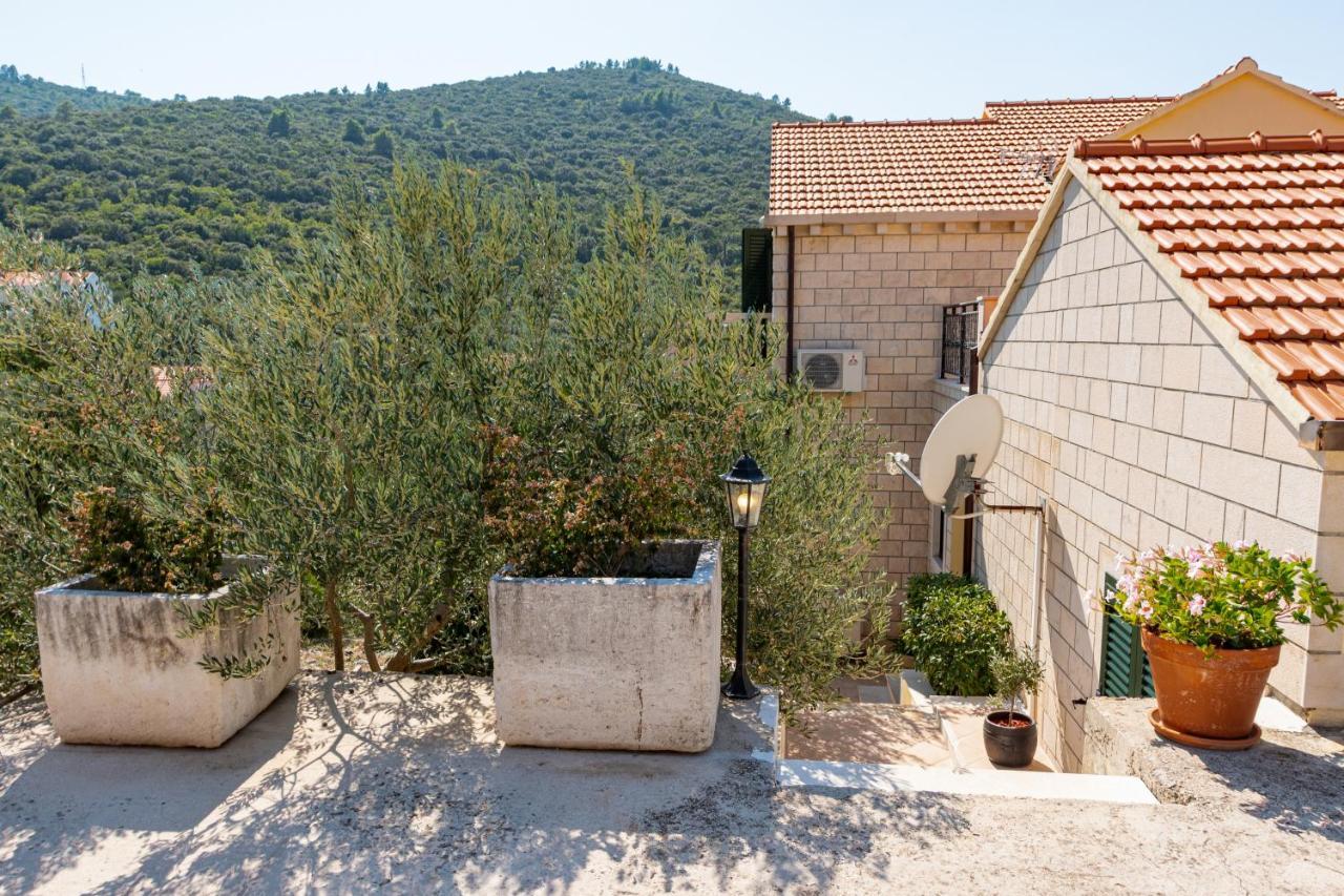 Villa Ana Zrnovo Exteriér fotografie