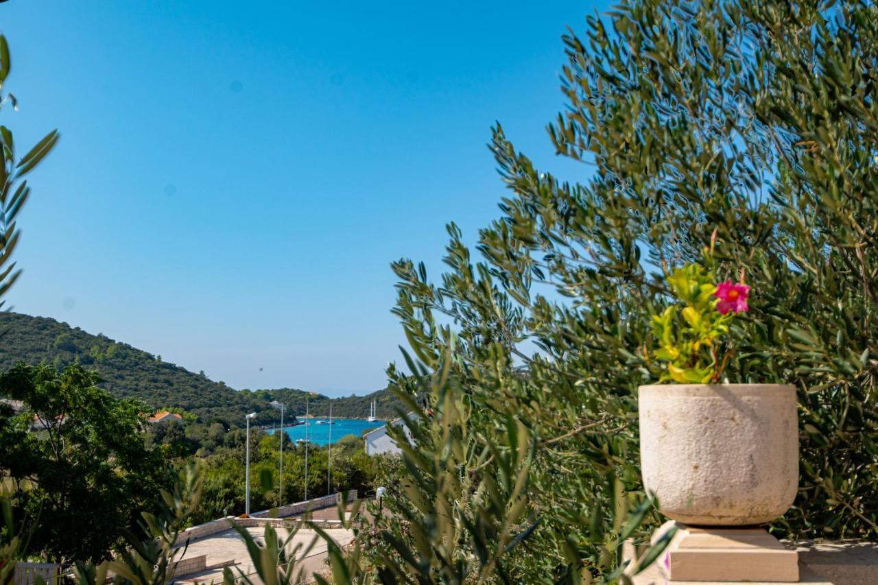 Villa Ana Zrnovo Exteriér fotografie