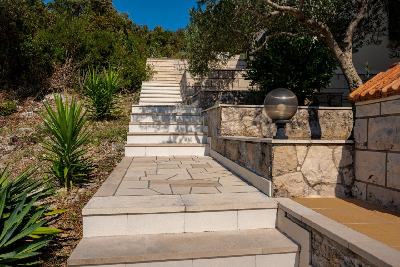 Villa Ana Zrnovo Exteriér fotografie